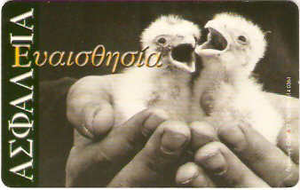 GRE-X0781 - Seguro Agrotiki - 4