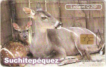 GUA-183 - Departamentos - 20/22