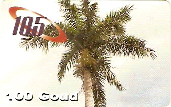 HAI-PB04 - Palmeira