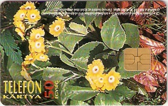 HUG-1996P-06 - Flor