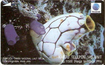 INS-S-160 - Vida Marinha - 9