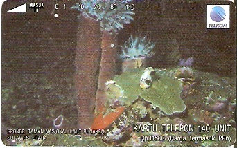 INS-S-158 - Vida Marinha - 7