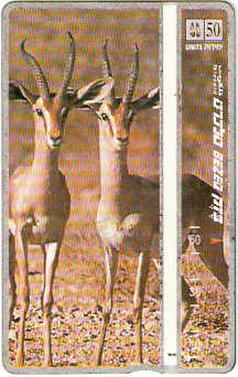 ISR-174 - Gazelas
