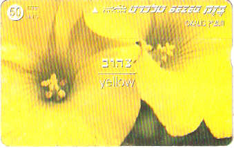 ISR-211 - Flor - Amarela