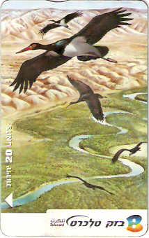 ISR-337 - Cegonha Preta