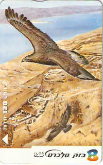 ISR-339 - Águia Dourada