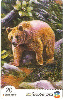 ISR-375 - Urso Pardo