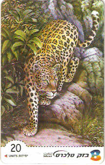 ISR-376 - Leopardo