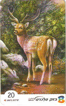 ISR-377 - Gamo