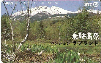 JAP-270-133