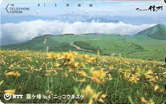 JAP-270-313