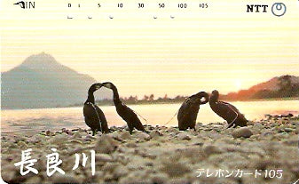 JAP-290-326