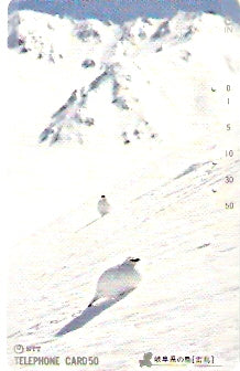 JAP-290-580
