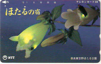 JAP-331-345