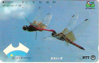 JAP-370-077