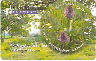 JER-171 - Orquídea do Pântano do Sul