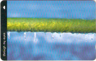 JER-202 - Grade Gelada