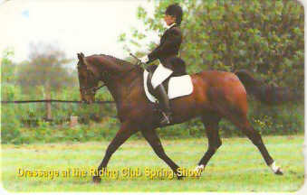 JER-254 - Adestramento