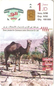 JOR-A-034 - Camelo