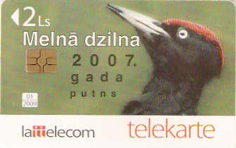LAT-D139 - Pica-Pau Negro