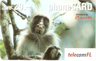 LIE-P-22F - Macaco
