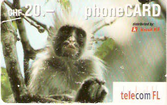LIE-P-22C - Macaco