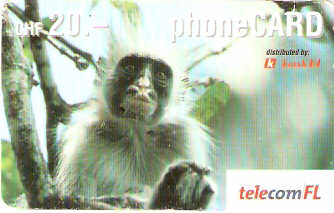 LIE-P-22E - Macaco