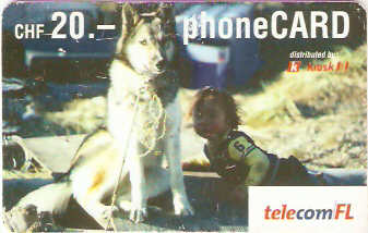 LIE-P-29A - Husky com Criança