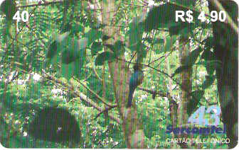 LON09-16 - Mata dos Godoy - 2/2