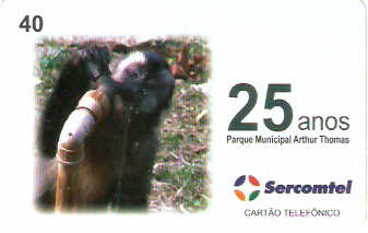 LON13-09 - Parque Arthur Thomas