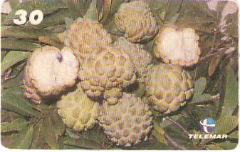 MA-163 - Frutas - 01/20