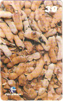 MA-169 - Frutas - 07/20