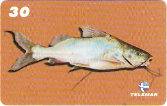 MA-263 - Peixes - 06/10