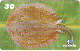 MA-267 - Peixes - 10/10