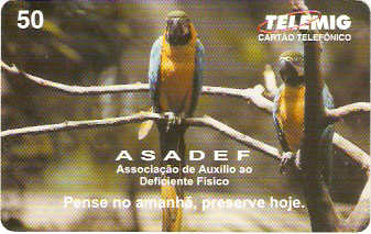 MG-0049 - ASADEF
