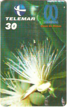 MG-0587 - Flor do Pequi