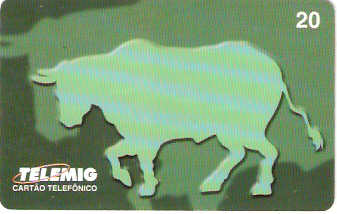 MG-0074 - Touro - B2