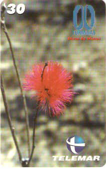 MG-0882 - Flor do Cerrado