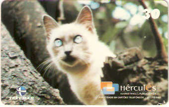 MG-1102 - Animais Domésticos - 3/6