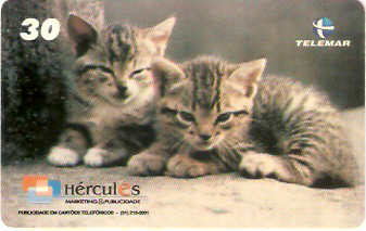 MG-1105M - Animais Domésticos - 6/6