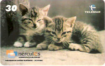 MG-1105 - Animais Domésticos - 6/6