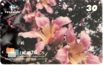 MG-1106 - Flores - 1/6