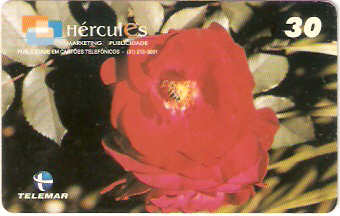 MG-1107 - Flores - 2/6