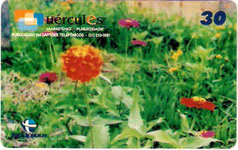 MG-1108 - Flores - 3/6