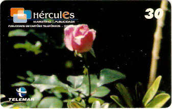 MG-1109 - Flores - 4/6