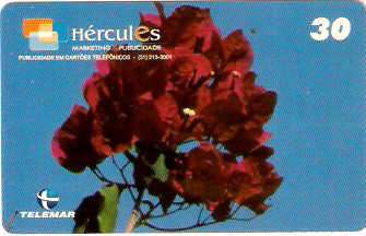 MG-1110 - Flores - 5/6