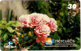 MG-1111 - Flores - 6/6