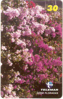 MG-1160 - Floradas - 1/4