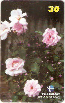 MG-1161 - Floradas - 2/4