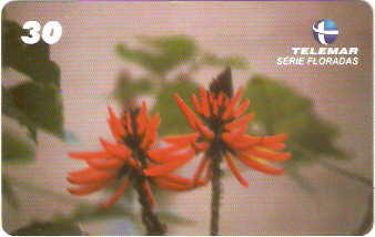 MG-1162 - Floradas - 3/4